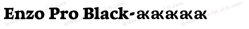 Enzo Pro Black字体转换